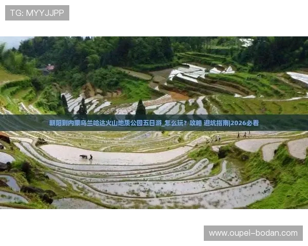 玩球水位怎么看避坑指南看懂彩票数字高频玩法